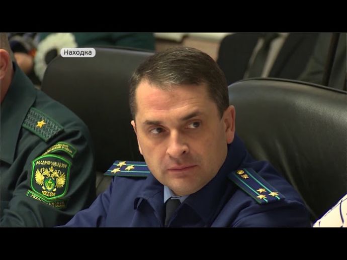 Наболевшие вопросы решал Олег Кожемяко в Находке