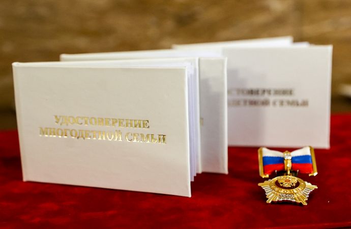 Многодетные семьи Приморья могут компенсировать расходы на спортивные занятия ...
